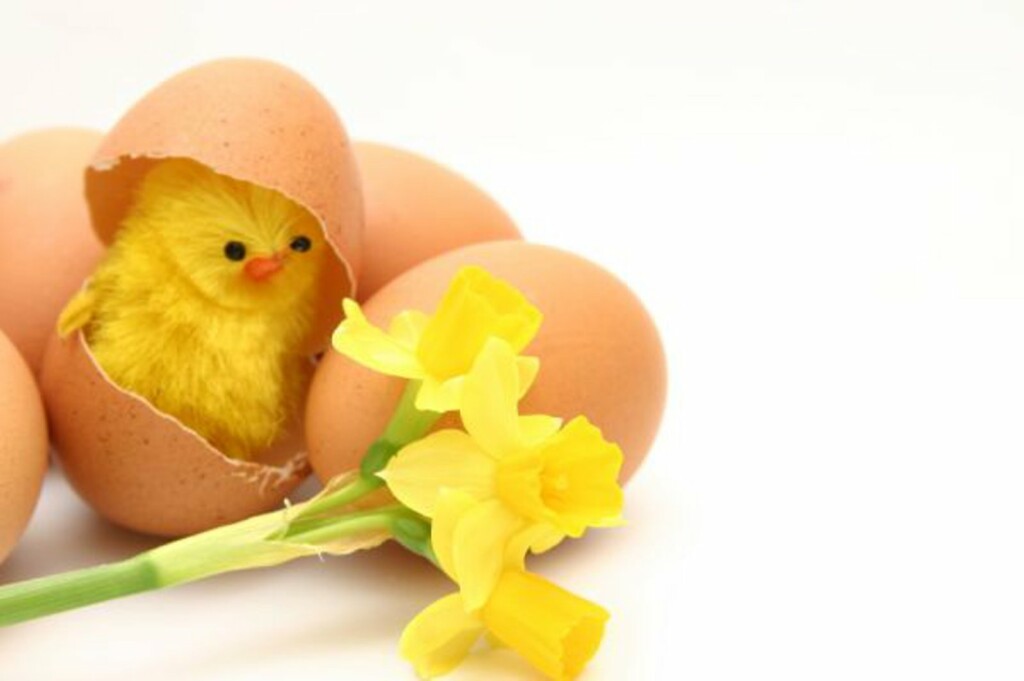 easter