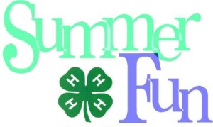 summer-fun